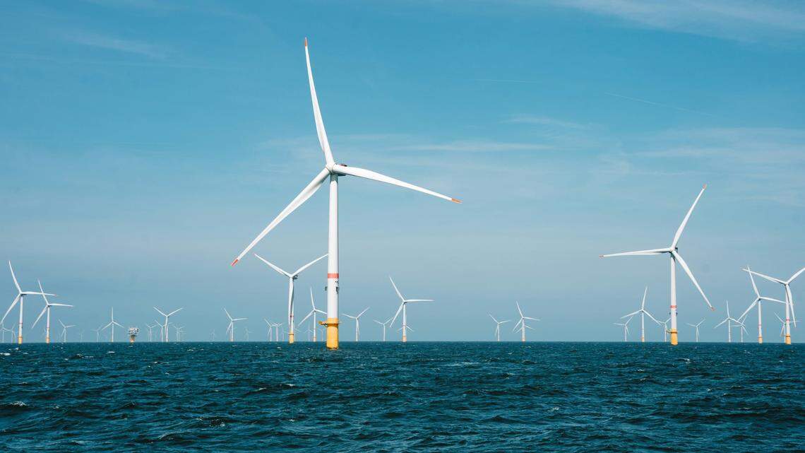 President-elect Donald Trump has repeatedly said offshore wind turbines harm whales. But experts say there’s no evidence for this.