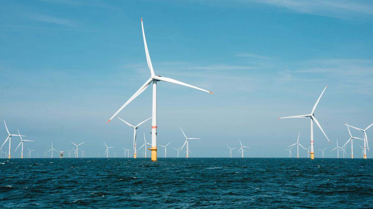 President-elect Donald Trump has repeatedly said offshore wind turbines harm whales. But experts say there’s no evidence for this.