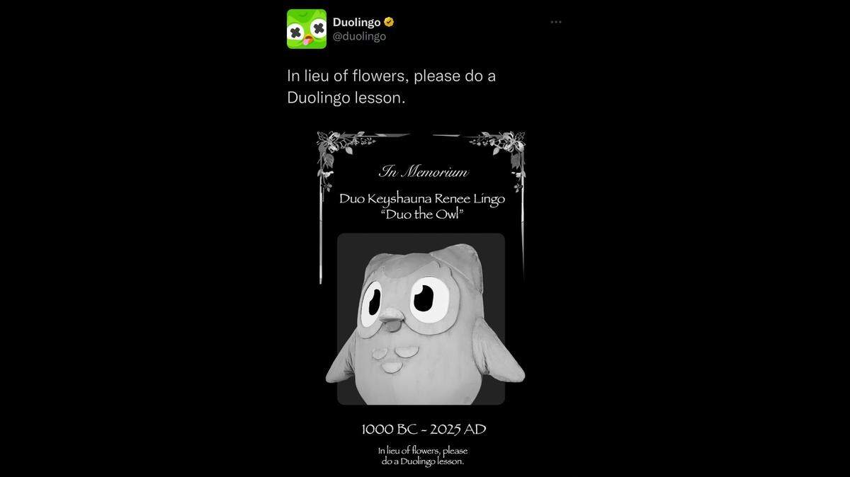 Duolingo announced the death of their mascot, Duo.