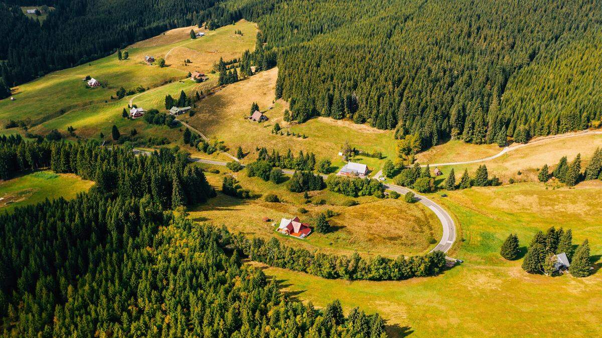 A copper object discovered by a metal detectorist in the Czech Republic turned out to be a 1,200-year-old pagan artifact, researchers said.