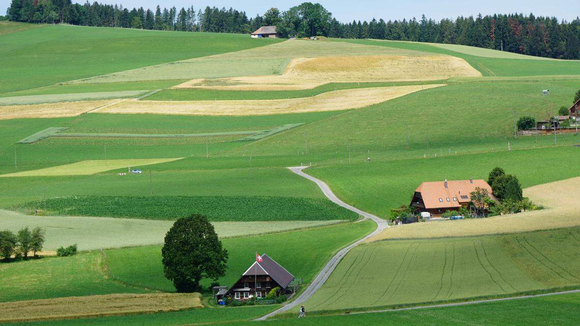 The well-preserved remains of a 2,000-year-old Roman bridge were recently discovered in Switzerland, officials said.