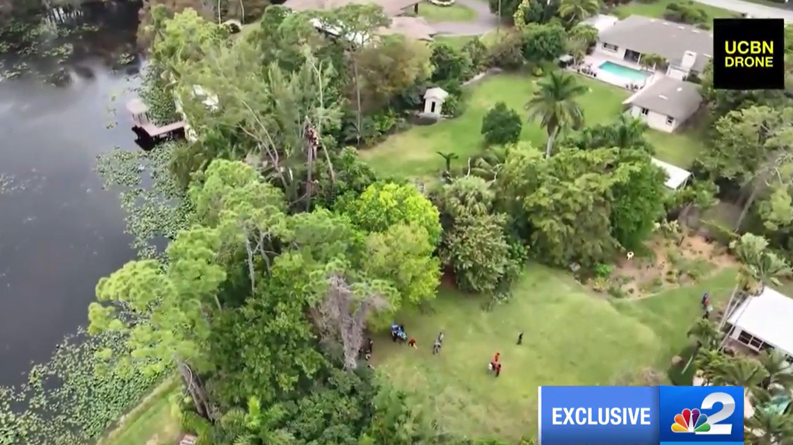 A 22-year-old tree trimmer died in Naples when a branch fell on him and pinned him against a tree at least 50 feet in the air, Florida deputies said.