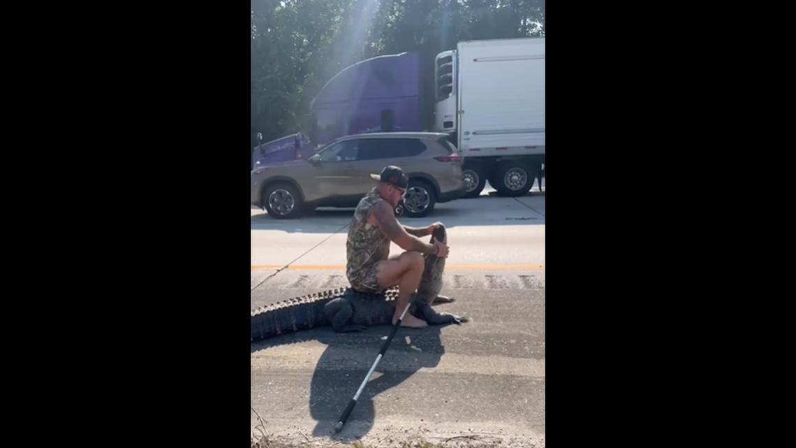 Mike Dragich was seen riding on the back of an alligator on April 28 as he tried to remove it from Interstate 95 near Jacksonville, Florida, video shows.