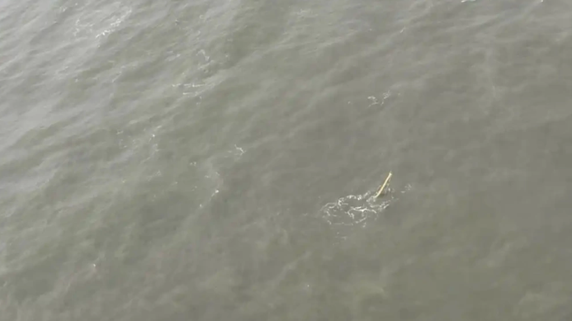 The boat sank a mile off the coast in Georgia, the U.S. Coast Guard said.