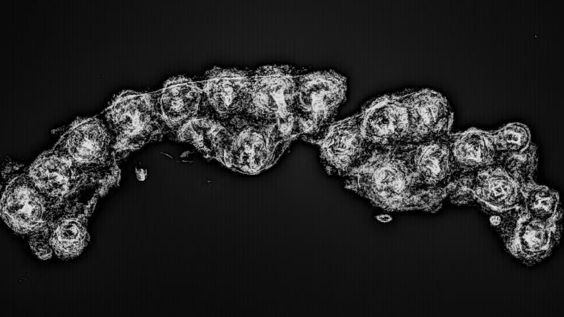 The remains of a Roman sandal were recently discovered in Germany, officials said. Fitted with iron nails, they were likely worn by a soldier some 2,000 years ago.