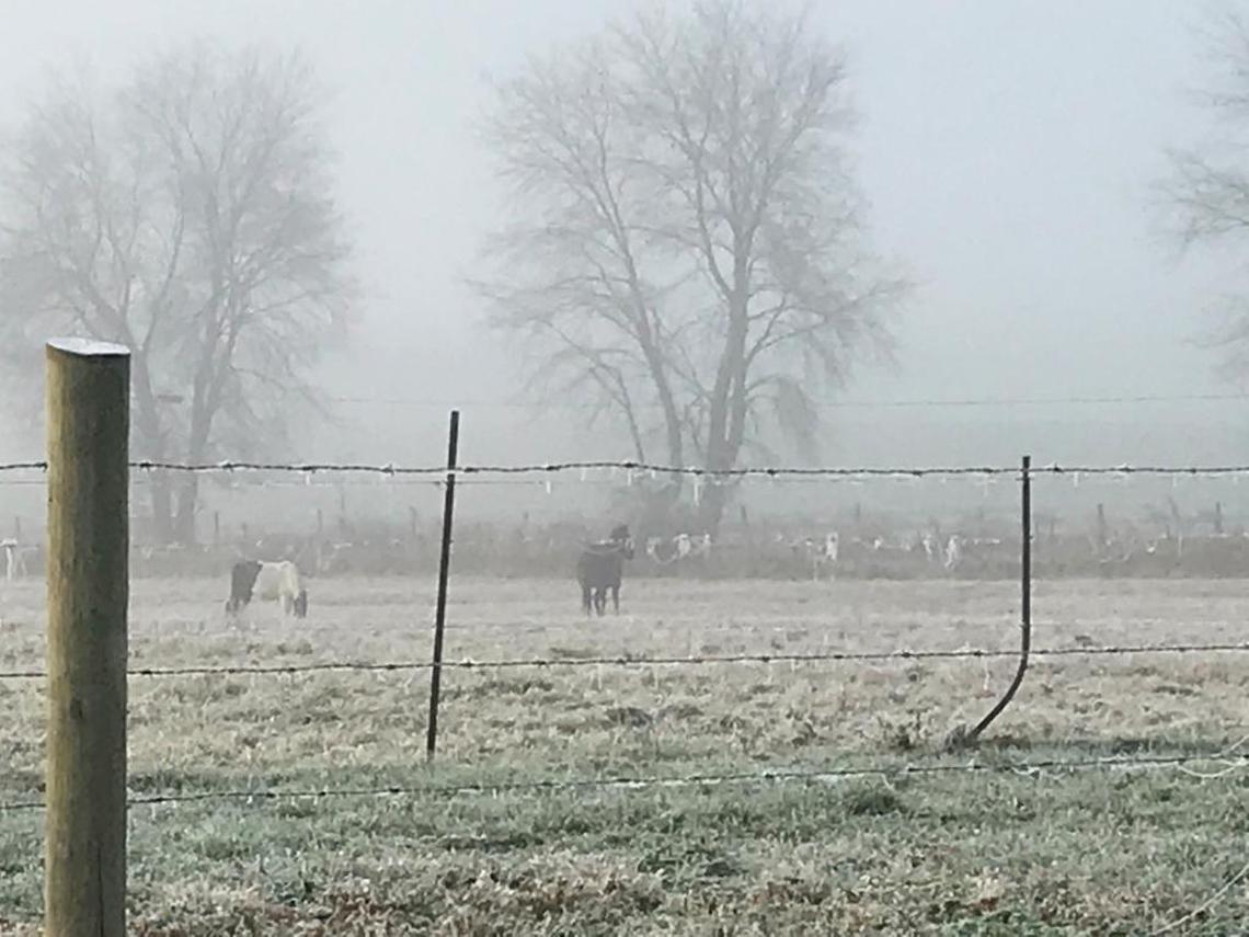 Early-morning frost and fog blanket one of the family farms that surround Jackson, Ohio.