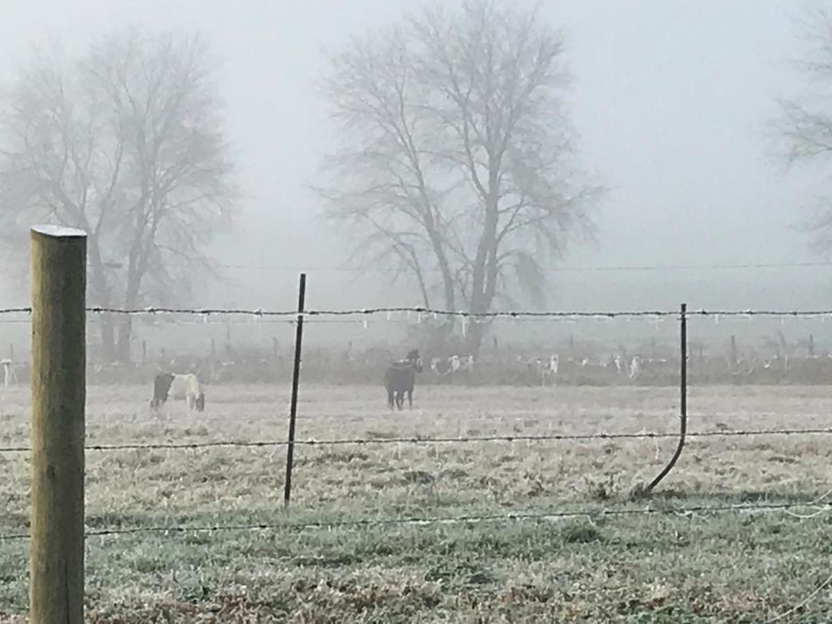 Early-morning frost and fog blanket one of the family farms that surround Jackson, Ohio.
