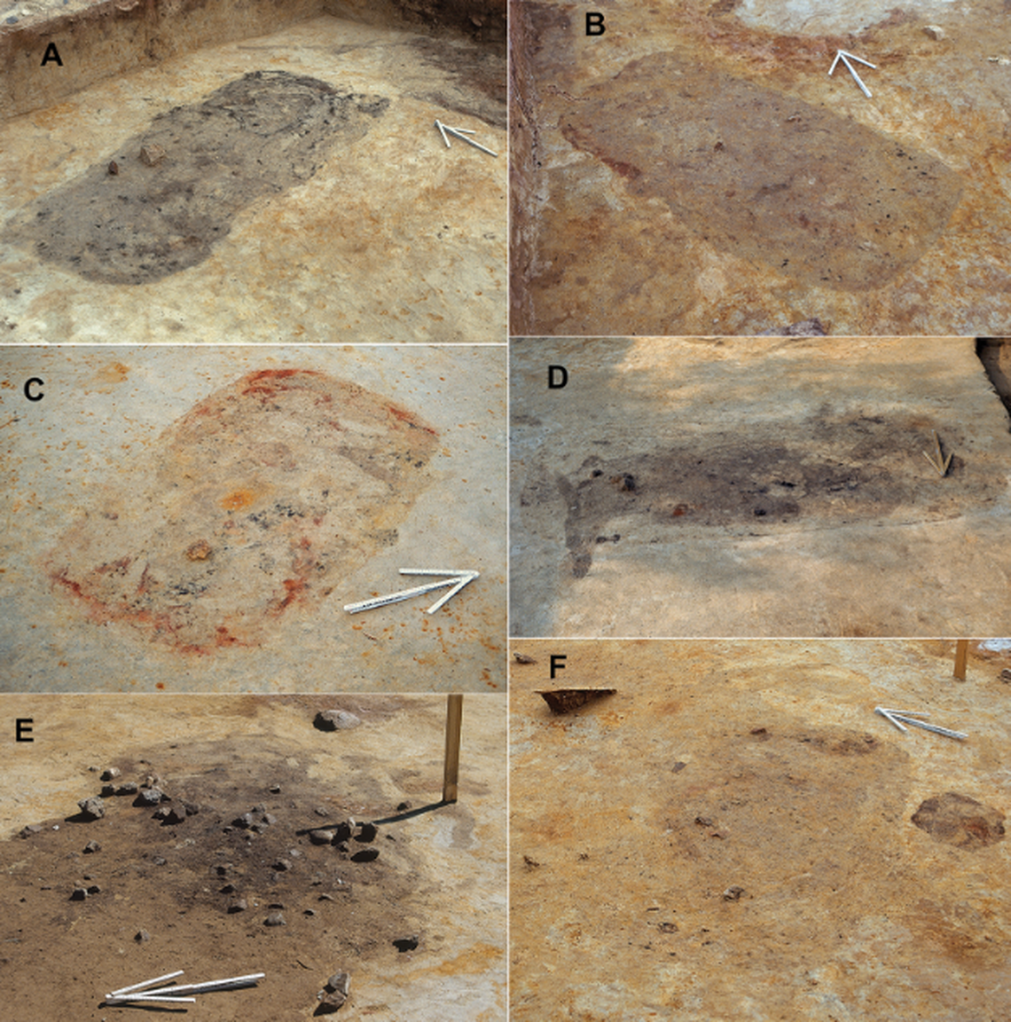 Some of the features found in the pits