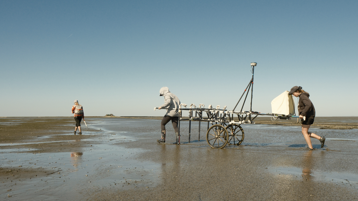 Mounds that supported medieval dwellings have been discovered along the coast of Germany, researchers said. They’re associated with a mythologized settlement known as Rungholt.