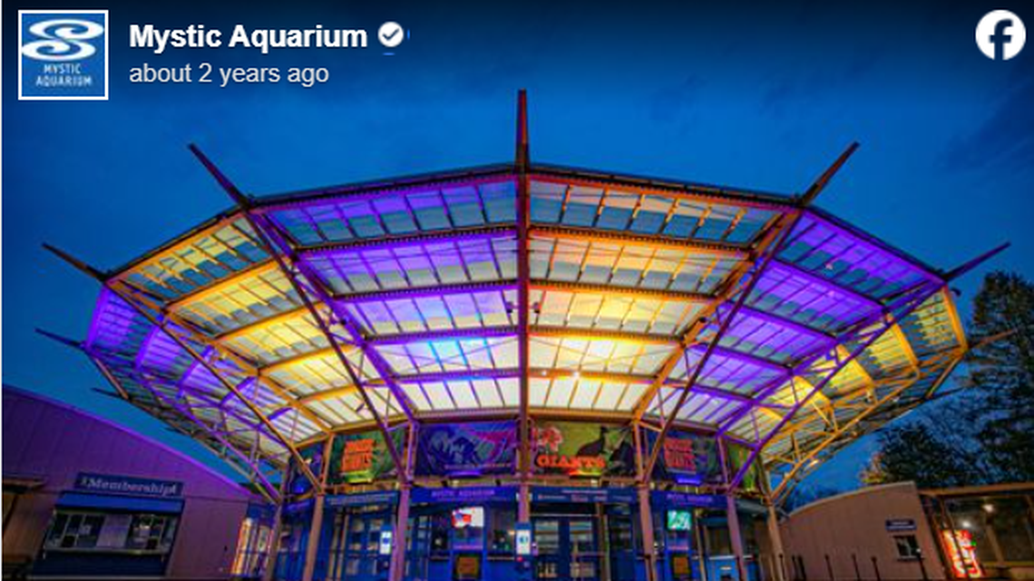 The Mystic Aquarium hasn’t had a seal pup in 20 years.