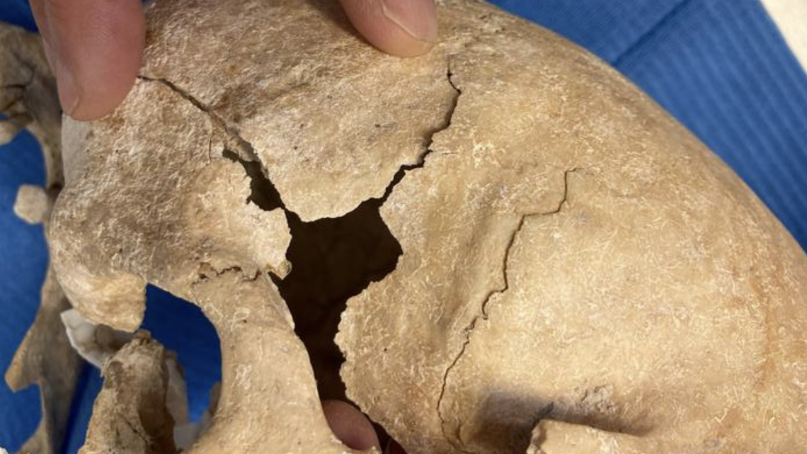 The skeletal remains of a medieval woman were found in a cemetery for warrior monks in Spain, suggesting she fought alongside them, according to a new study.