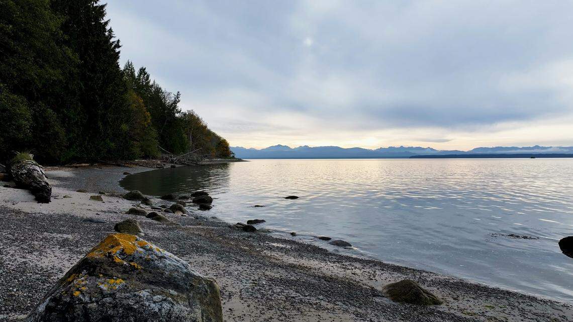 A leatherback sea turtle made an “extremely rare” appearance off the coast of British Columbia, Canada, video footage shows.