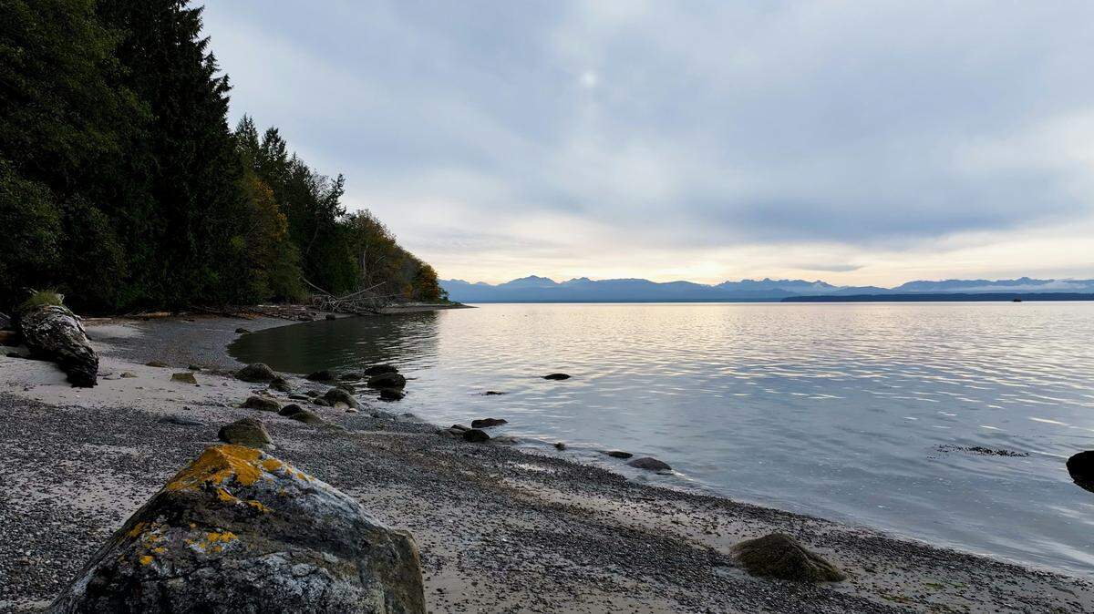 A leatherback sea turtle made an “extremely rare” appearance off the coast of British Columbia, Canada, video footage shows.