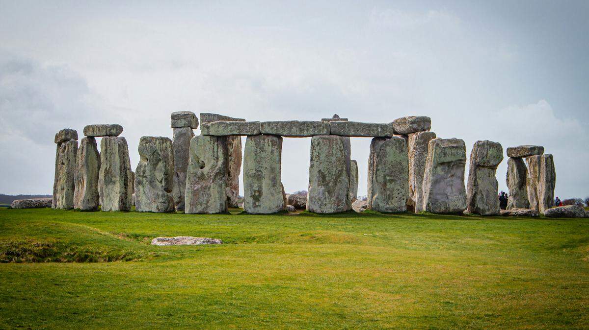 An ancient cow tooth unearthed beneath Stonehenge offers a “fascinating” clue about how the monument was built.