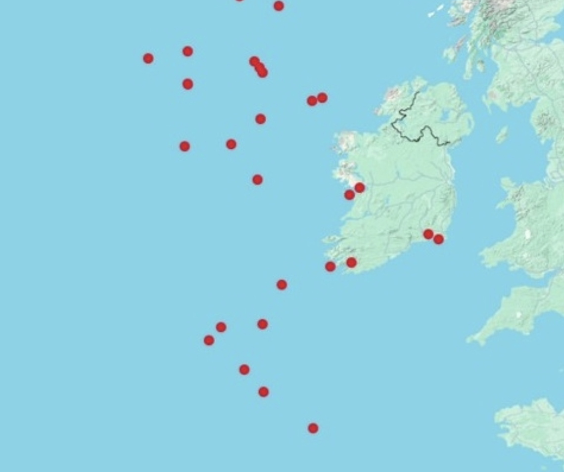 The 27 sperm whale sightings reported off Ireland since 1990