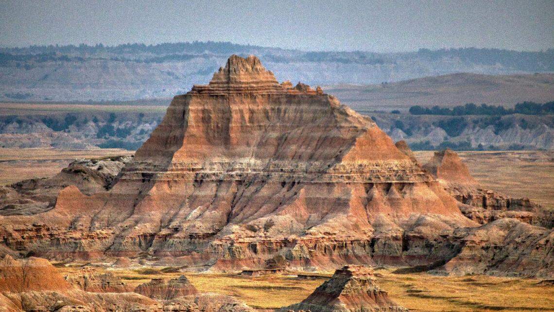 A previously unknown species of dinosaur, known as the “chicken from Hell,” has been identified from fossils found in South Dakota, researchers said.