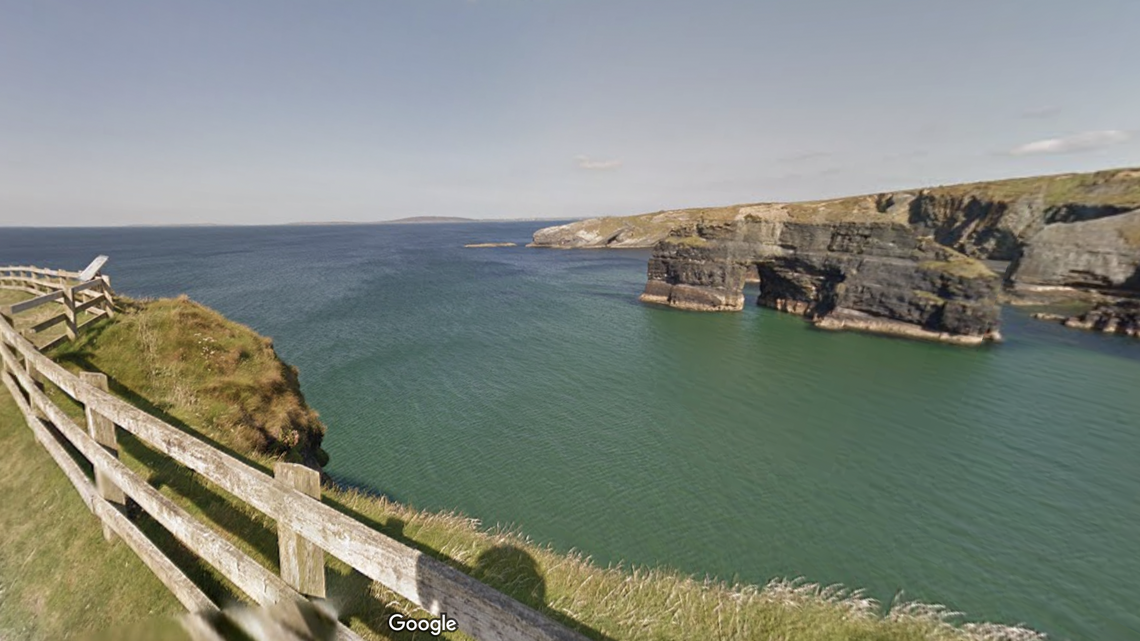 A famous Irish “sea monster” might actually have been a humpback whale, according to a conservation group.