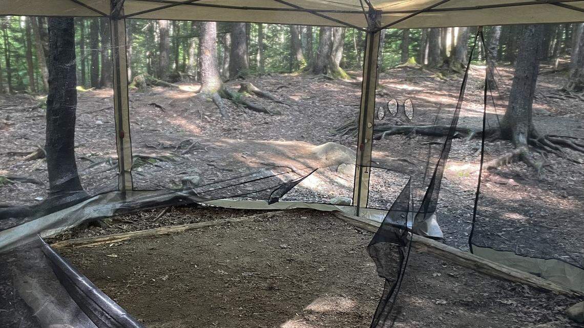 A New Hampshire campsite was closed because of a bear’s “escalating behavior.”