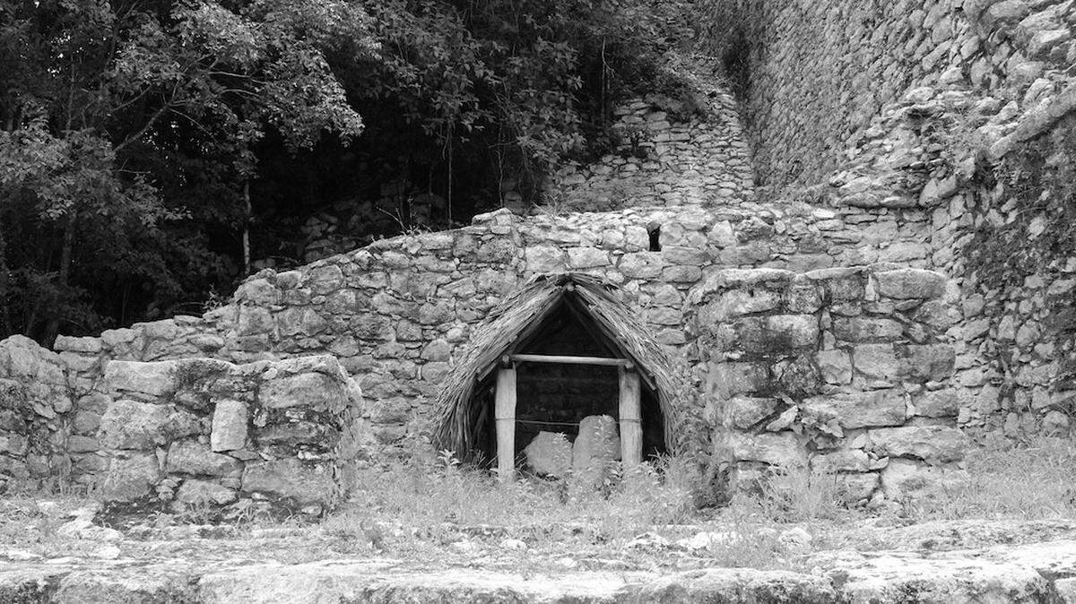 Last year, a series of ancient hieroglyphs were discovered in the jungle of Mexico. Now, they have been decoded, revealing the identity of a previously unknown Mayan ruler.