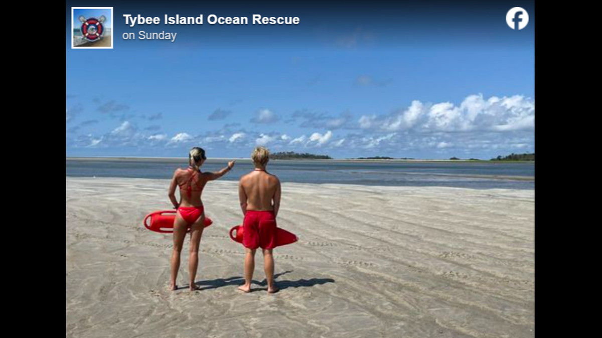 Tybee Island officials warned beachgoers to avoid Portuguese man o’ war that have been washing up on Georgia beaches.