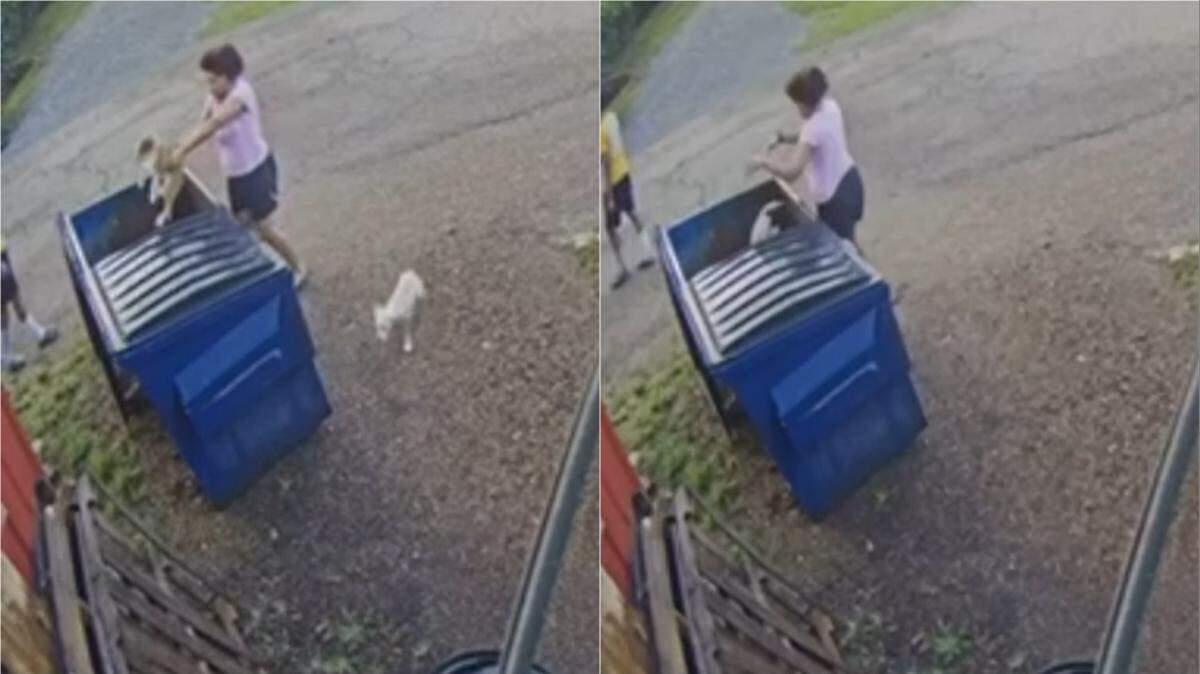 A man and woman were seen throwing puppies in a dumpster and leaving, Louisiana police say.