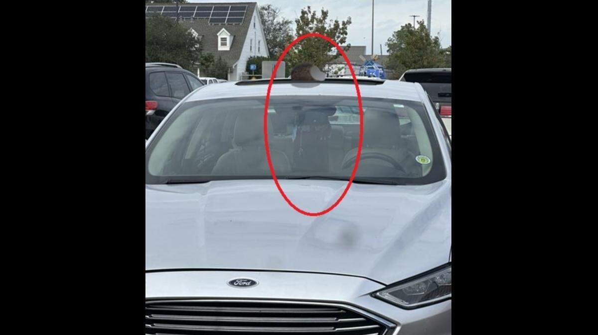 Police in Louisiana said they received multiple 911 calls about a young child trying to escape a locked car through an open sunroof.