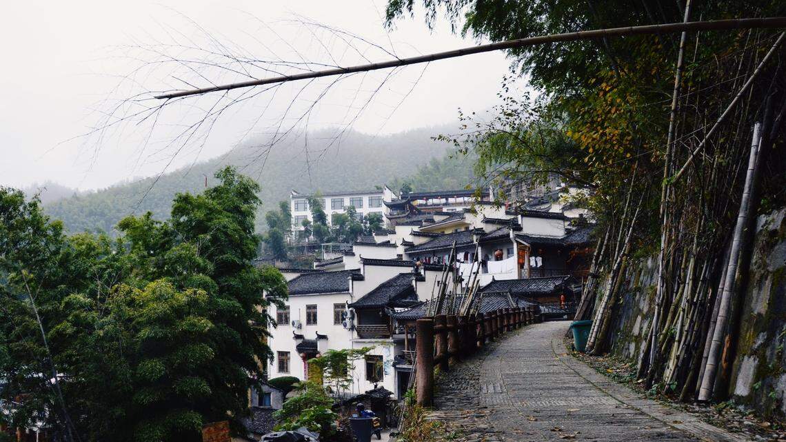 A new species of hedgehog with multi-colored spikes was discovered in China’s Anhui Province, according to researchers.