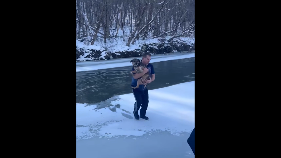 A man in Vermont saved a dog from a freezing river.