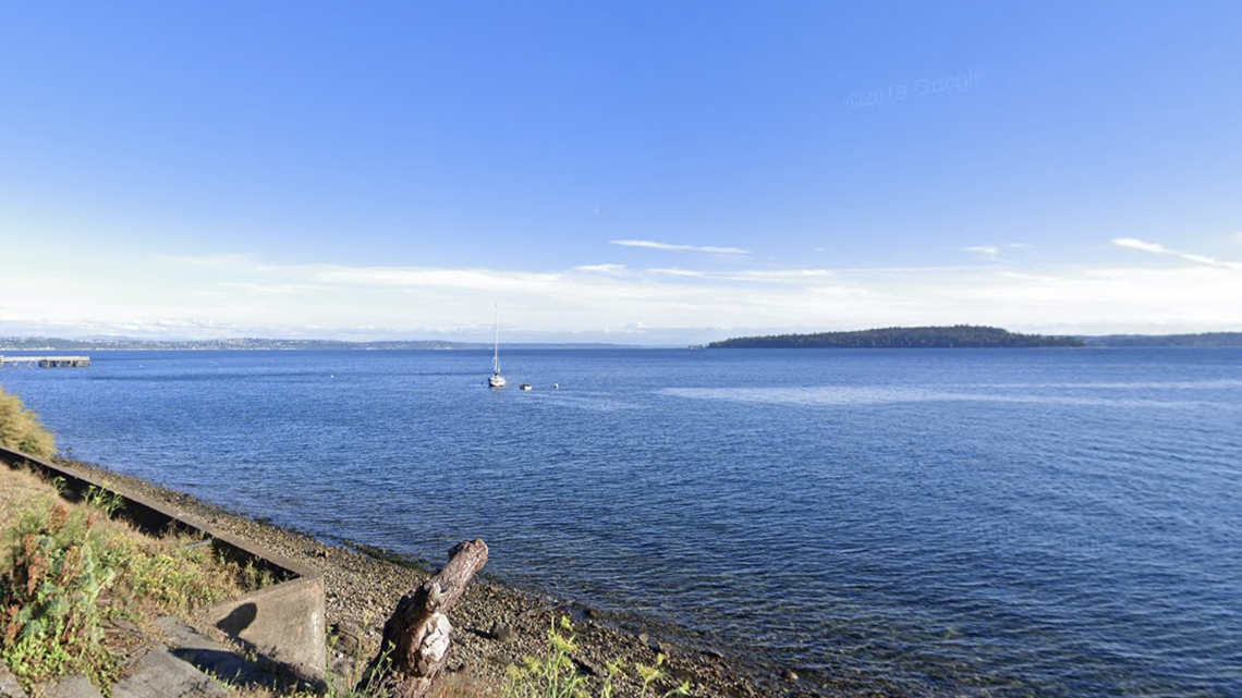 A photographer recently captured images of killer whales swimming just feet away from beachgoers in Washington.
