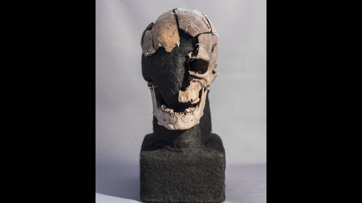 An analysis of a body found in a Danish bog revealed that is belonged to a foreign man who was sacrificed around 5,000 years ago.