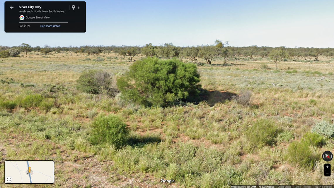 “Elated” ecologists spent several weeks observing a “rare” flock of scarlet-chested parrots in New South Wales, an organization said.