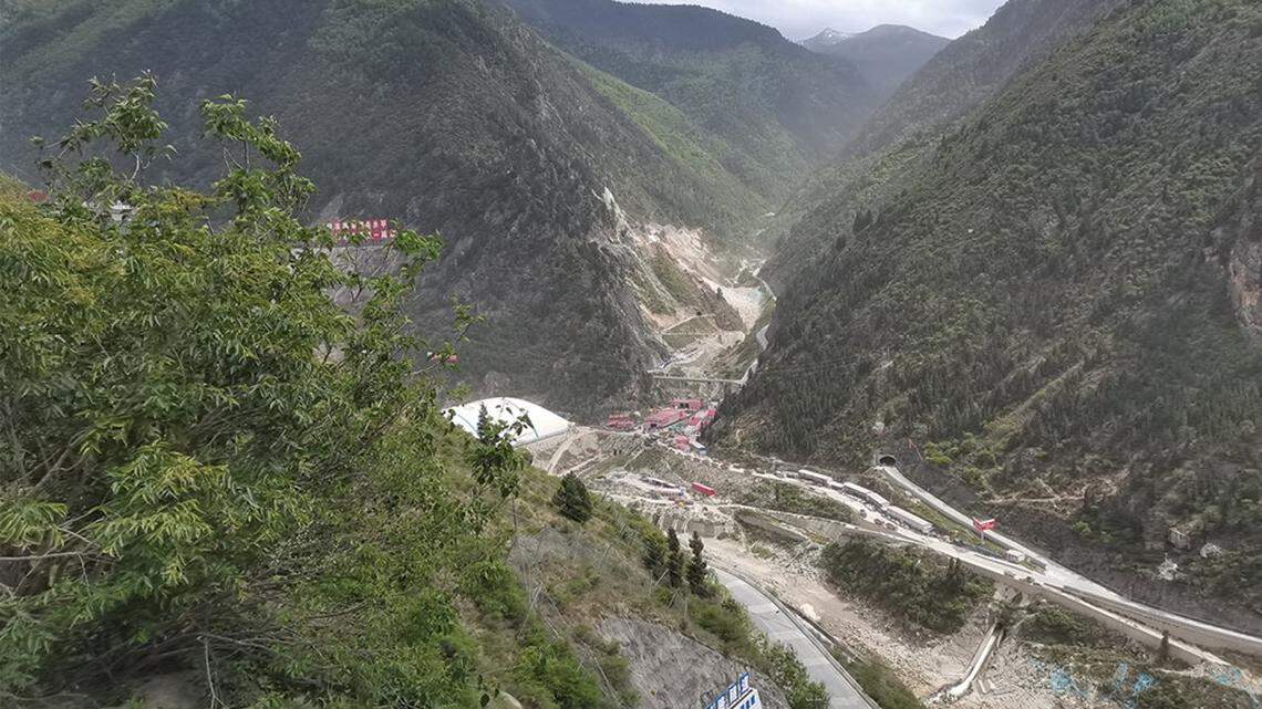 Scientists found a “long”-limbed creature with a “wheat-colored tongue” in a river valley of China and discovered a new species, a study said.