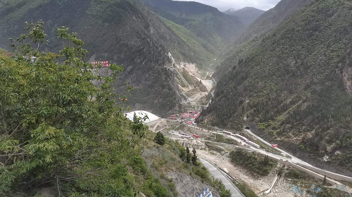 Scientists found a “long”-limbed creature with a “wheat-colored tongue” in a river valley of China and discovered a new species, a study said.