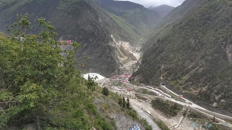 ‘Long’-armed creature with 7 eggs found on mountain in China. It’s a new species