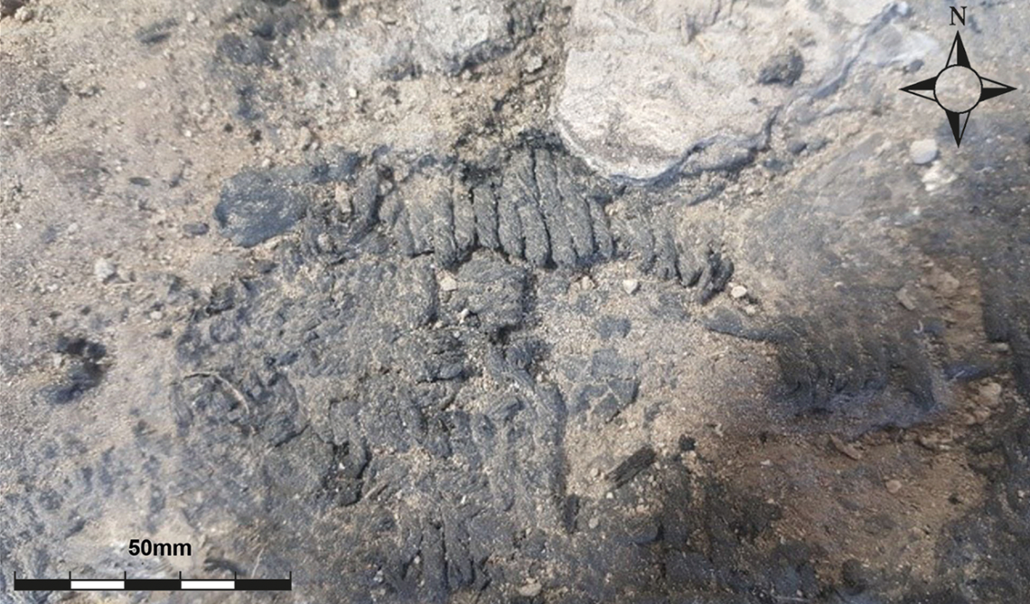 Archaeologists at a Bronze Age site in Turkey unearthed two ancient burnt textiles: a blue knitted fabric and a woven fragment, photos show.