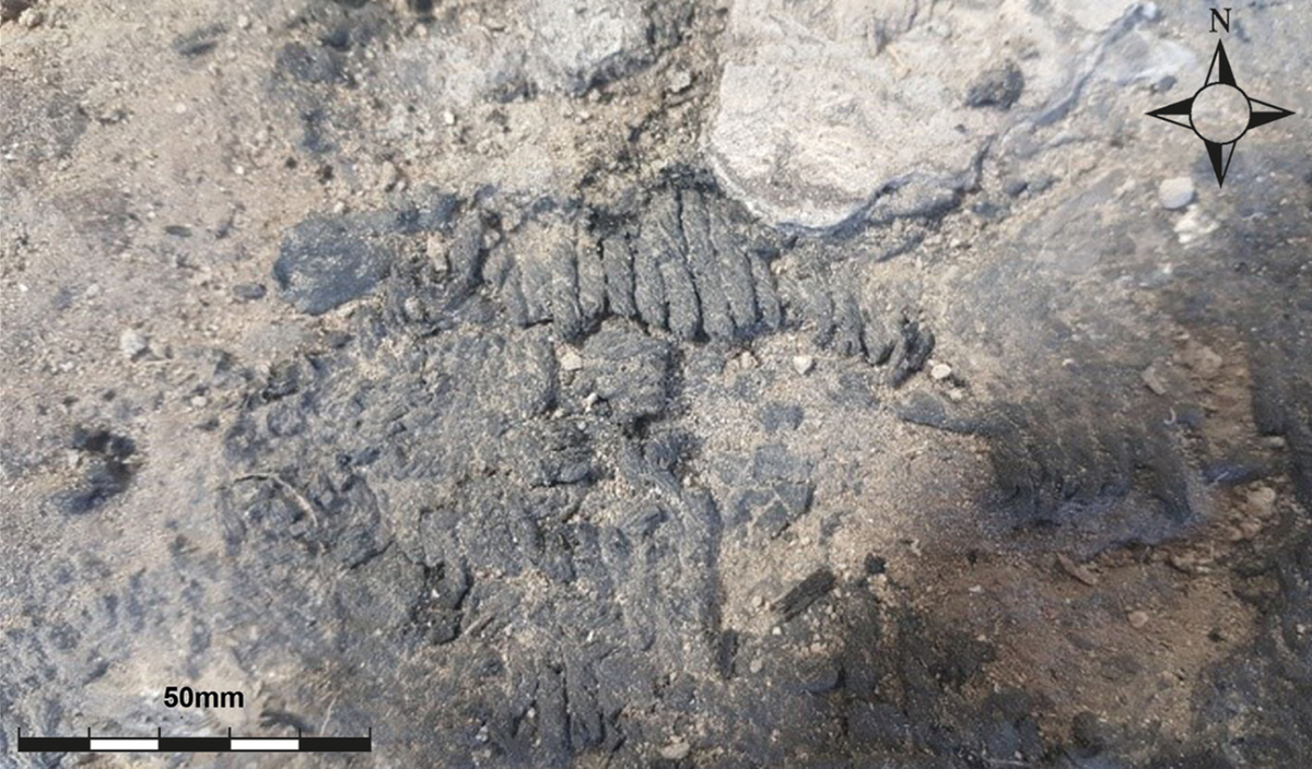 Archaeologists at a Bronze Age site in Turkey unearthed two ancient burnt textiles: a blue knitted fabric and a woven fragment, photos show.