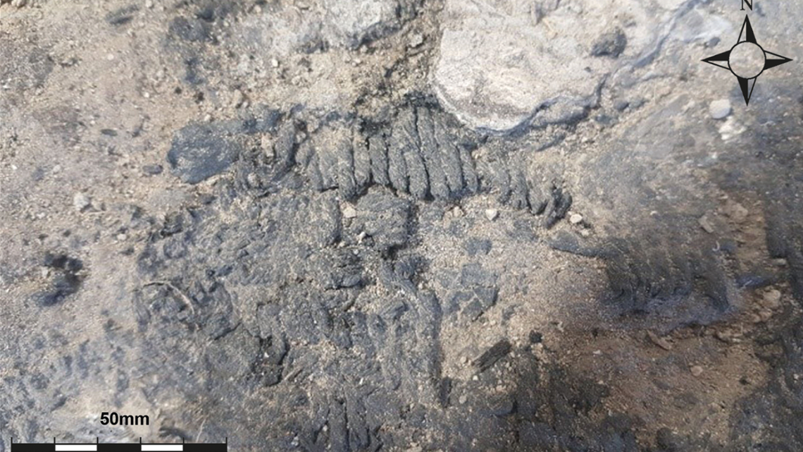 Archaeologists at a Bronze Age site in Turkey unearthed two ancient burnt textiles: a blue knitted fabric and a woven fragment, photos show.