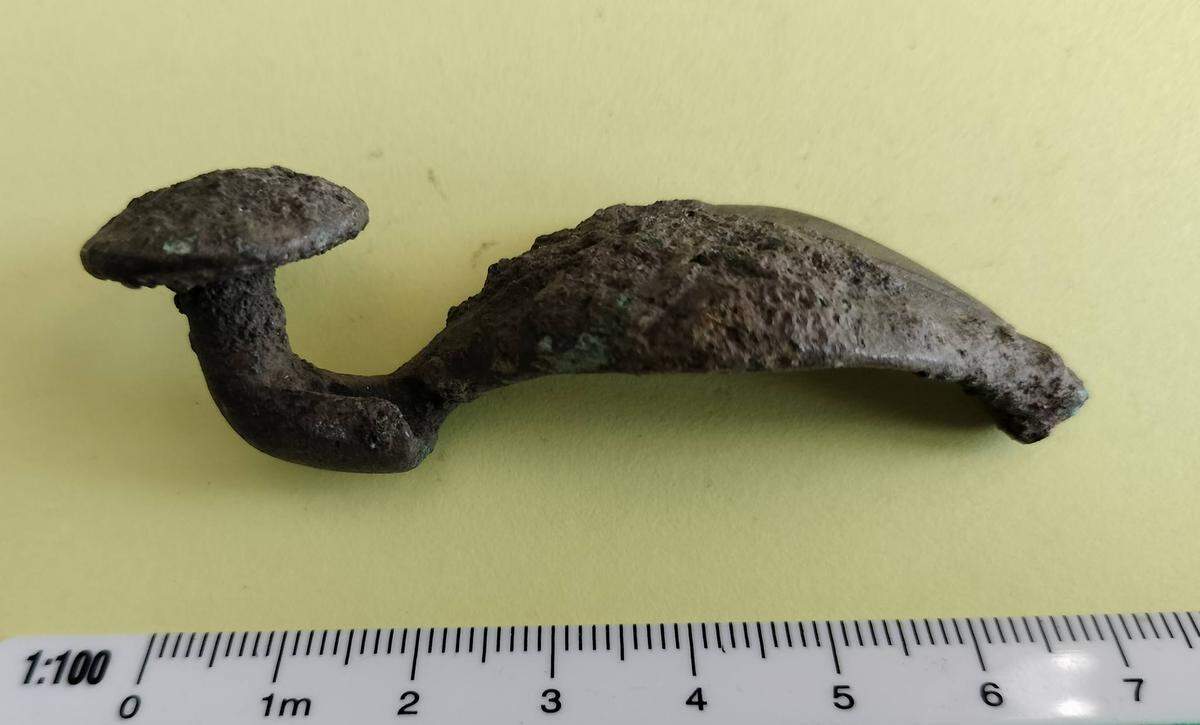 The 2,400-year-old brooch found by a metal detectorist.
