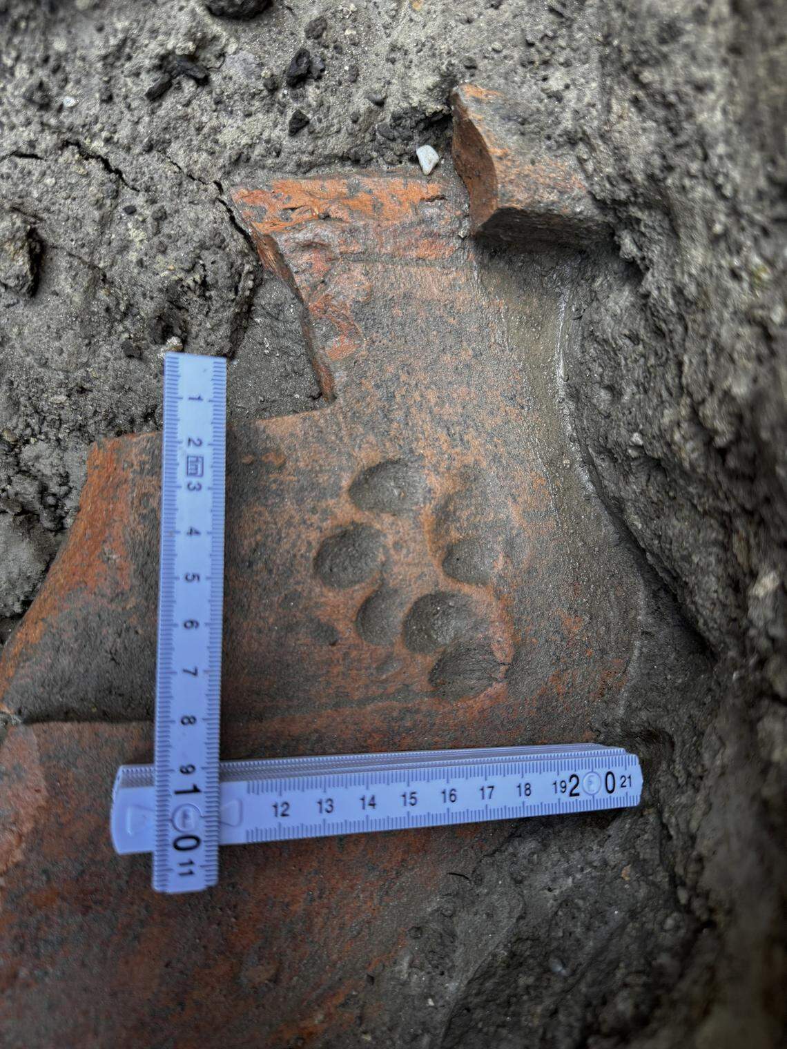 An ancient Roman tile with a pawprint preserved on it.