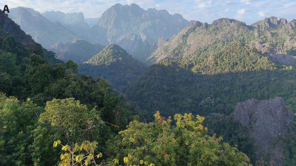 Scientists found an elusive 2-foot-long predator with a “dangerous” bite and discovered a new species in Laos, a study said.