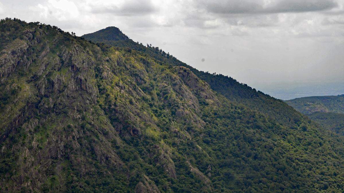 The new butterfly species is endemic to Angola’s central highlands, according to a study.
