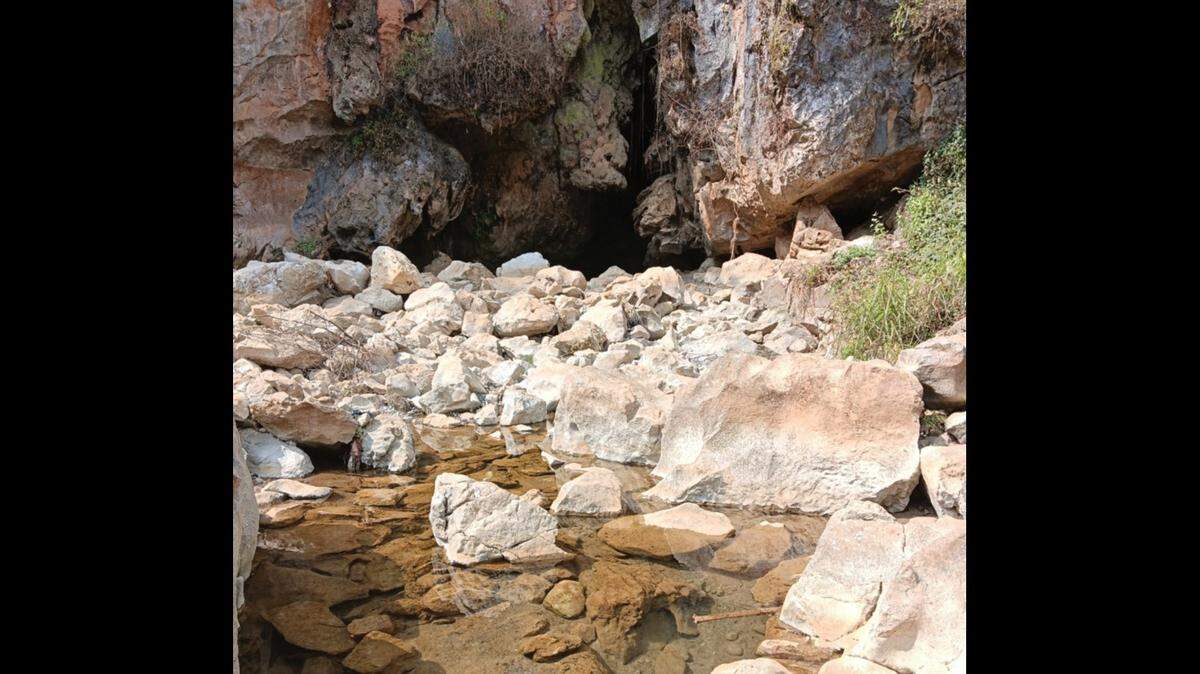Locals found a “blunt”-headed river creature near a cave in China and discovered a new species, a study said and photos show.