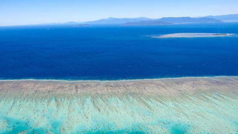 Red-eyed sea creature with ‘fang-like’ teeth found on reef. It’s a new species