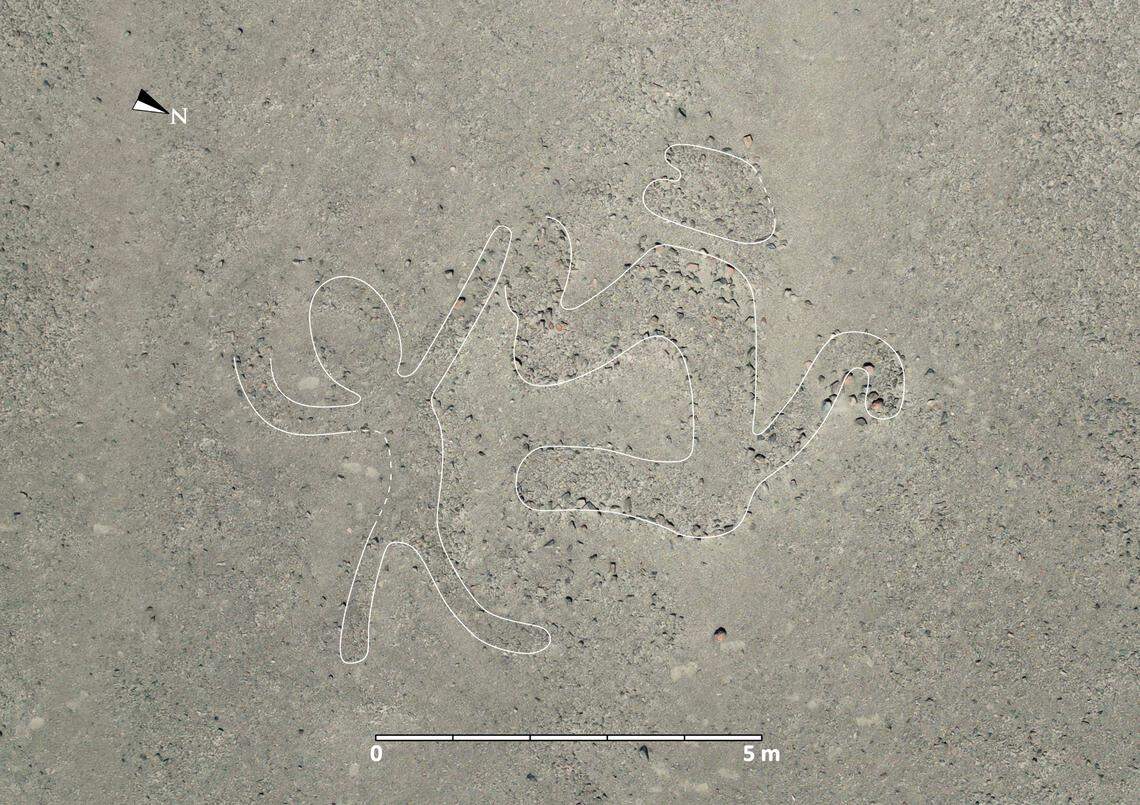 A 2,000-year-old Nazca geoglyph showing a human and an animal. The figure was outlined in white by researchers.