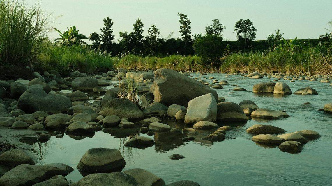 In an unnamed river in central Indonesia, locals found a brightly colored creature and sold it into the pet trade.