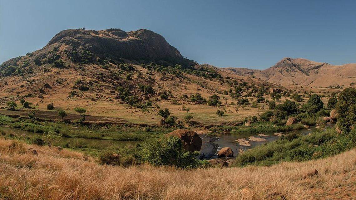 Scientists found camouflaged creatures with “flattened” bodies in “sacred forests” of Madagascar and discovered a new species, a study said.