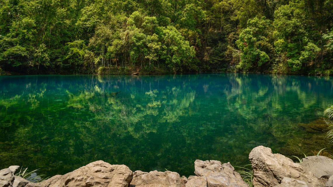 Scientists found a cave creature with four nostrils in an underground river of China and discovered a new species, a study said.
