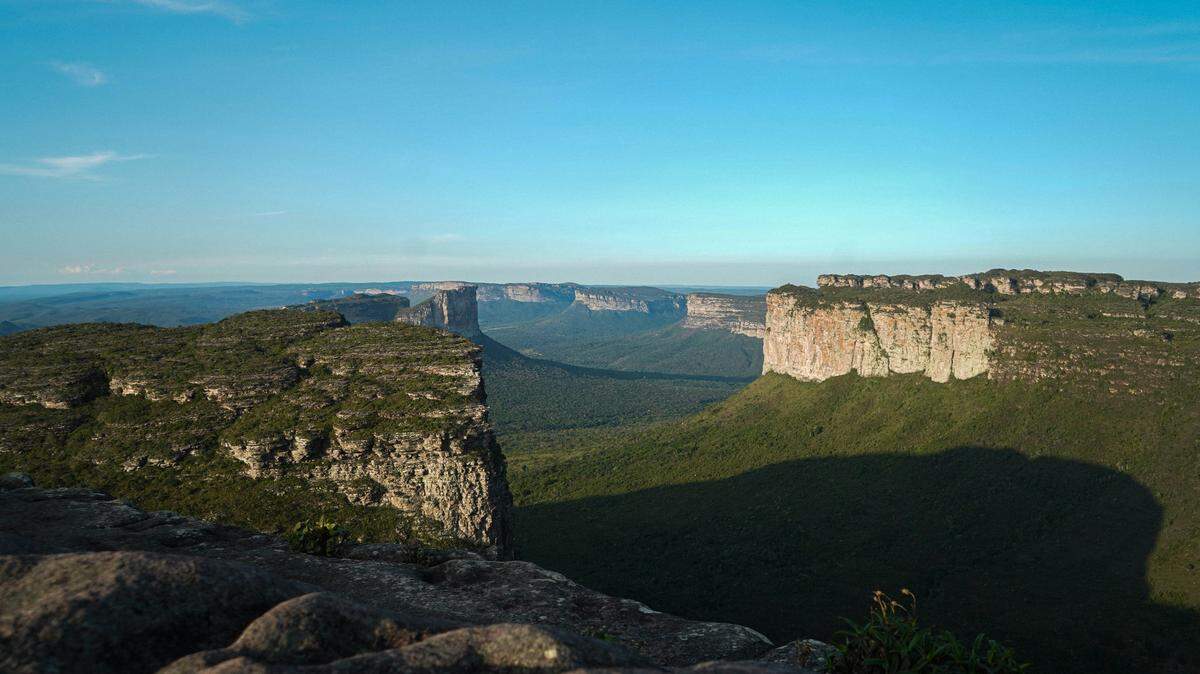 The new species was discovered in the Chapada Diamantina region in Brazil’s state of Bahia.