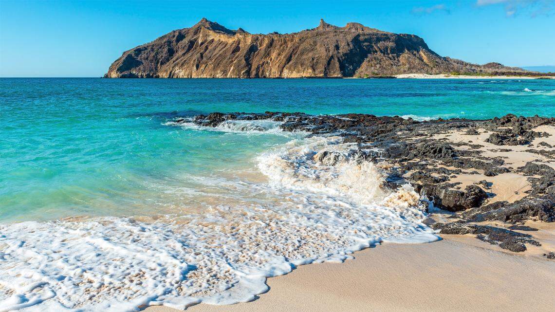 Scientists analyzed the DNA of fish in the Galapagos Islands and discovered a colorful new species with white speckles, a study said.