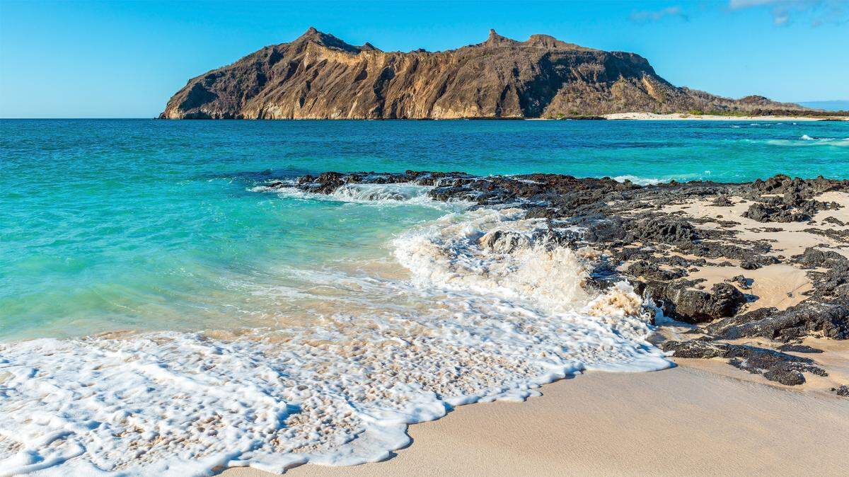 Scientists analyzed the DNA of fish in the Galapagos Islands and discovered a colorful new species with white speckles, a study said.